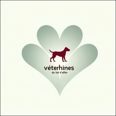 Ton futur métier préféré :