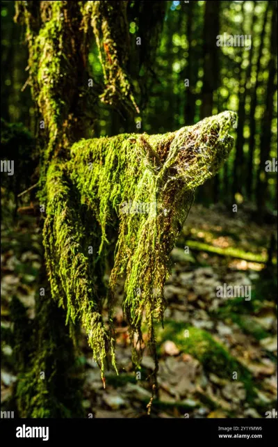 En 1984, qui chantait "Débranche" ?