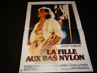 "La Fille aux bas nylon" est une chanson interprétée par ...