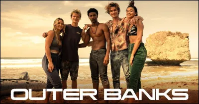 De combien de personnes était composé le groupe de Pogues au tout début de la série ?