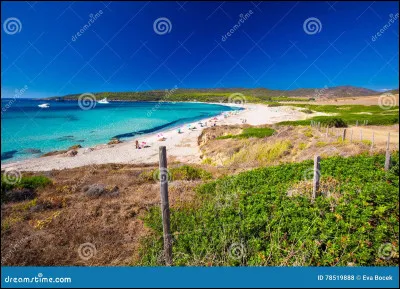 Quel est le nombre d'habitants total de la Corse en 2024 ?