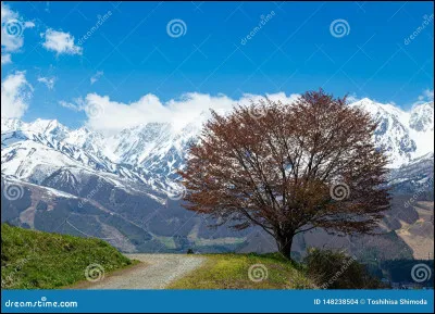 Quel métier voudrais-tu faire plus tard ?