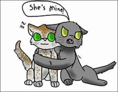 Quelle est la compagne d'Aile de Faucon ?