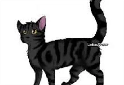 Tu as finalement la chance d'avoir Patte Agile comme mentor. Celui-ci semble légèrement grimacer, mais la joie dans ses yeux ambrés te chasse de tout songe. Nuage d'Éclair, pour sa part, à droit d'avoir comme mentor Oreille de Biche, une jeune guerrière très intelligente et sensible. Tu commences par visiter le territoire quand soudain un monstre passe sur le Chemin du Tonnerre et tu y étais !