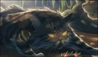 Tu te réveilles dans la tanière de la guérisseuse, Croc Cendré. Elle t'inspecte et ouvre ses grands yeux ambrés en te remarquant réveillée. Elle te dit que, malheureusement, tu devras devenir son apprentie car tu es maintenant borgne et que ta patte droite de devant n'est plus fonctionnelle. Comment réagis-tu ?