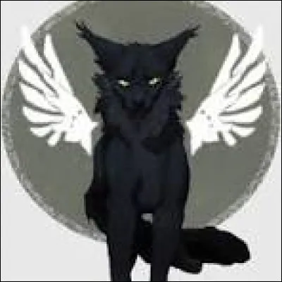 "À partir d'aujourd'hui, l'on te connaîtra sous le nom de Lune d'Orage."
Comment trouves-tu ton nouveau nom ?