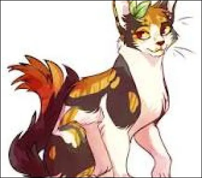 La deuxième a un magnifique pelage écaille et remarquable avec des taches ambrées. Comment l'appelles-tu ?