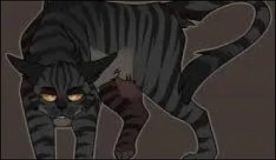 Et le dernier, un mâle noir tigré aux yeux ambrés ? Tiens, il te ressemble malheureusement beaucoup...