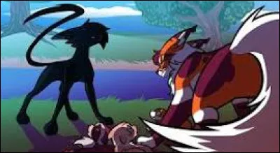 Le clan découvre que ce sont tes chatons et tu es bannie. Avant que tu partes, Patte de Feuilles se rapproche de toi et te serre dans ses pattes en te murmurant : "Je t'aimerai toujours. Que le Clan des Étoiles te protège." Pelage d'Éclair, en contrebas, te regarde avec un air déçu. Que fais-tu ?