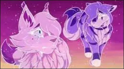 Es-tu loyal(e) au code du guerrier ?