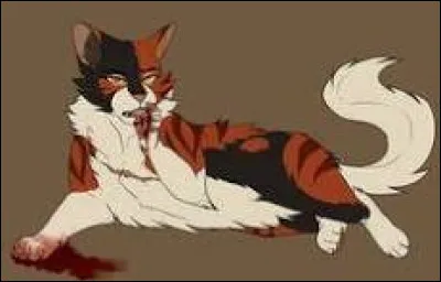 Ta mère, Patte de Feuilles, semble vraiment ennuyée de devoir passer ses longues journées à prendre soin de vous. Comment réagis-tu à ça ?