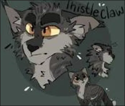 De nouveaux chatons sont nés dans la pouponnière, une portée de trois chatons. Cur de Colombe, la mère de cette nouvelle portée, te laisse choisir le nom du mâle gris. Comment l'appelles-tu ?