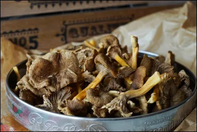 Quel est ce savoureux plat de champignons ?