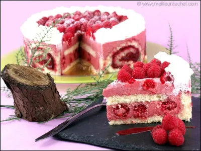 Quel est cet excellent gâteau ?