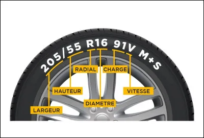 A quoi correspond la lettre "V" sur cette image ?