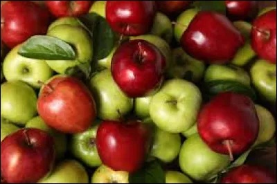 Quelle couleur possède une nuance "pomme" ?
