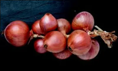 Quelle ville bretonne est réputée pour ses oignons ?