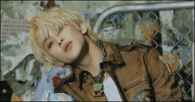 Ensuite, de quelles sous-unités de NCT fait-il partie ?