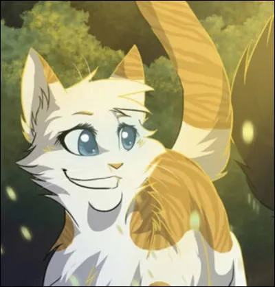 Pour qui Plume Rose avait-elle un faible ?