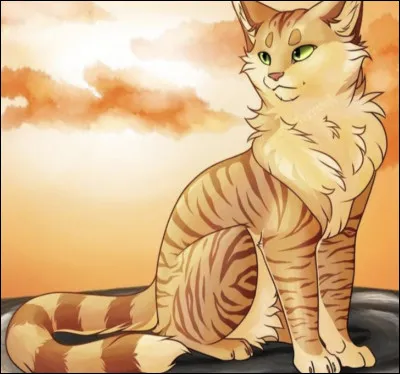 Tempête de Sable na jamais osé dire ça à Étoile de Feu, quel est ce secret ?