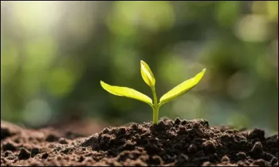 Tu détestes quand...