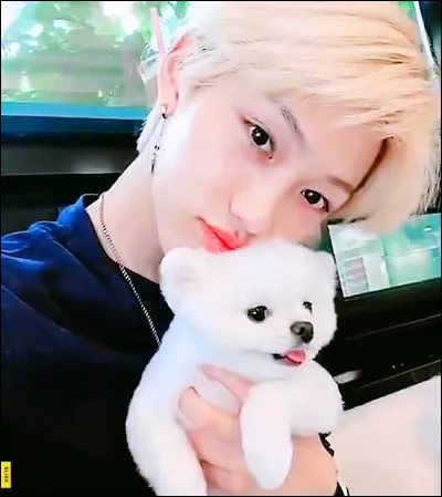 Quel(s) accessoire(s) doit-il avoir ?