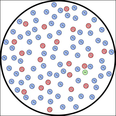 Pour que l'adjectif macroure (qui a une longue queue) devienne une foulque, il faudra changer le...