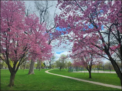 Commençons doucement, qu'aimes-tu faire de ton temps libre ?