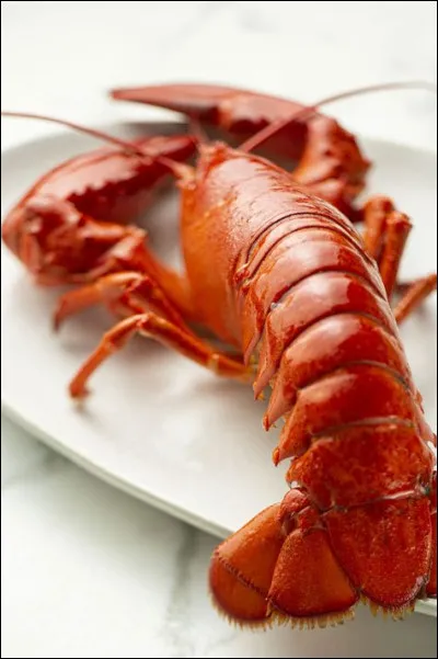 Quels crustacés étaient appelés "sauterelles de mer" autrefois ?