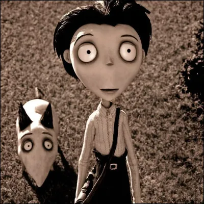 Frankenweenie raconte l'histoire d'un jeune garçon qui ressuscite son chien décédé.