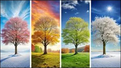 Complétez le nom des quatre premiers concertos baroques de Vivaldi : "Les Quatre...