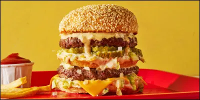 Quel est ce burger ?