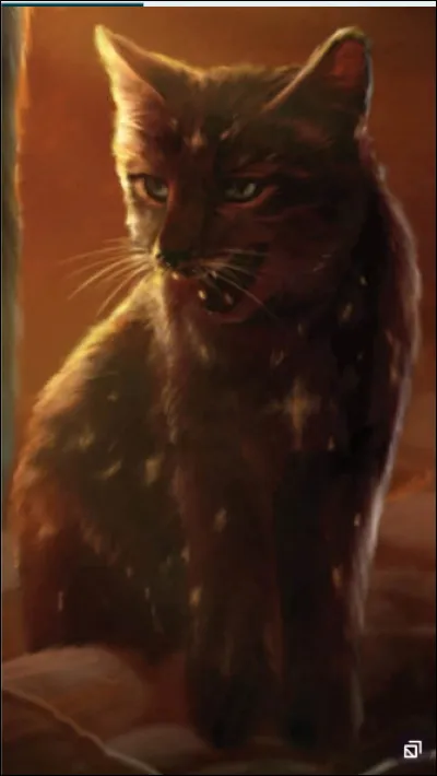 Et ensuite, dans celle de Cur de Roseau :