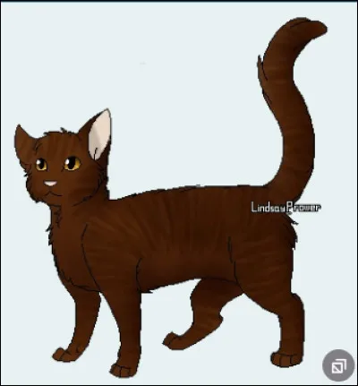 Et dans celle de Tornade Brune ?