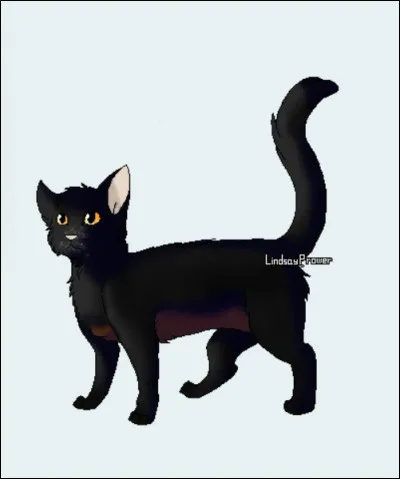 Savez-vous qui est dans la famille de Patte d'Araignée ?