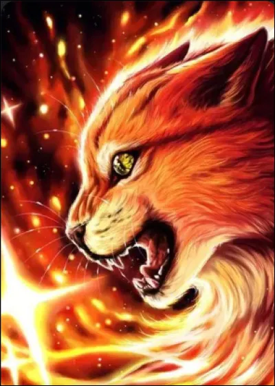 Dans celle d'Étoile de Feu ?