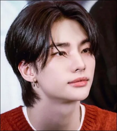 Et pour finir, aimes-tu Hyunjin ?