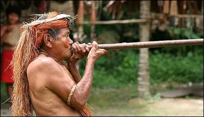 Que dire &agrave; propos du curare ?