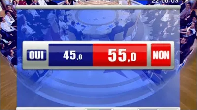 Le 29 mai, les Français répondent majoritairement "non" au referendum sur le traité constitutionnel européen : c'était il y a ...