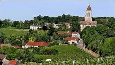 Village Marnais, dans l'aire d'attraction Sézannaise, Allemant se situe en région ...