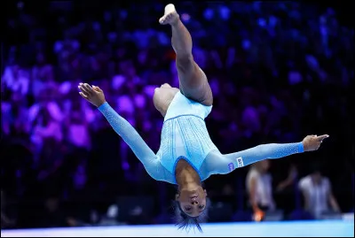 Quel est ce sport artistique ?