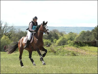 Quel est ce sport chevaleresque ?