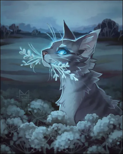 Bien. 
Aimerais-tu être guérisseur(se) ?