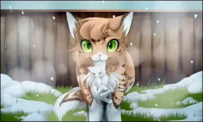 Bien.
Quel est ton nom de chaton ?