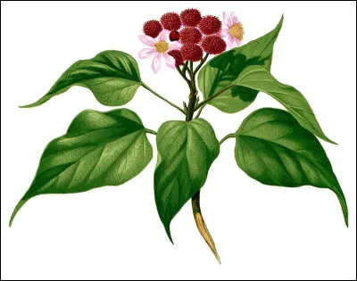 Lequel de ces livres de Jacques Perret a été publié en 1936 ?