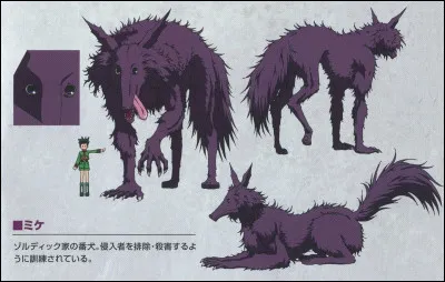 Comment s'appelle le chien de Killua ?