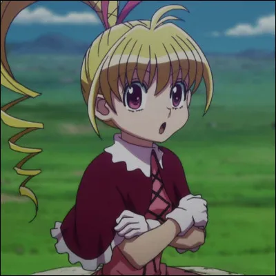 Qui rencontrent Gon et Killua dans Green Island ?