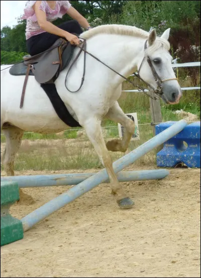 Quel est ce saut dobstacles ?