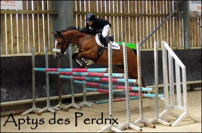 Quel est ce saut dobstacles ?