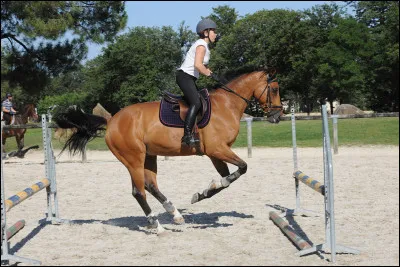 Quel est ce saut dobstacles ?